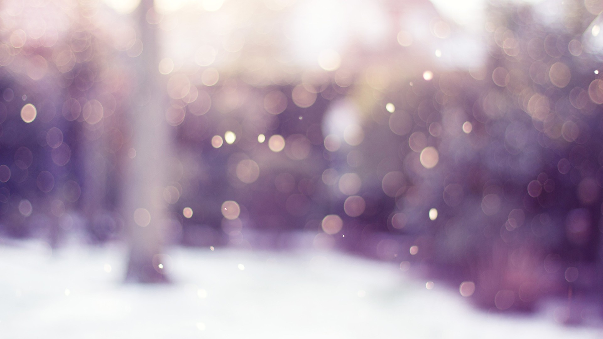 Nature, Macro, Leaves, Blurred Wallpapers Hd / Desktop - Winter Blurred - HD Wallpaper 