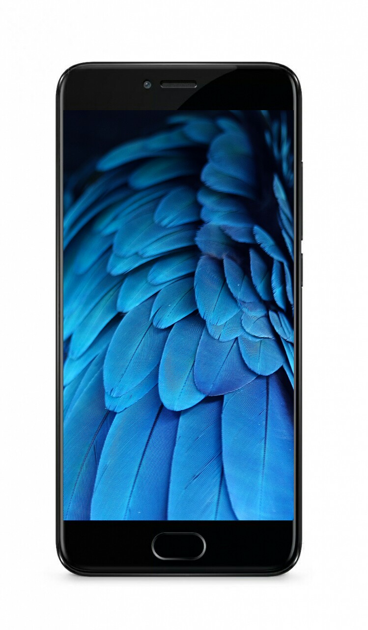 Iphone 7 Wallpaper Feathers - HD Wallpaper 