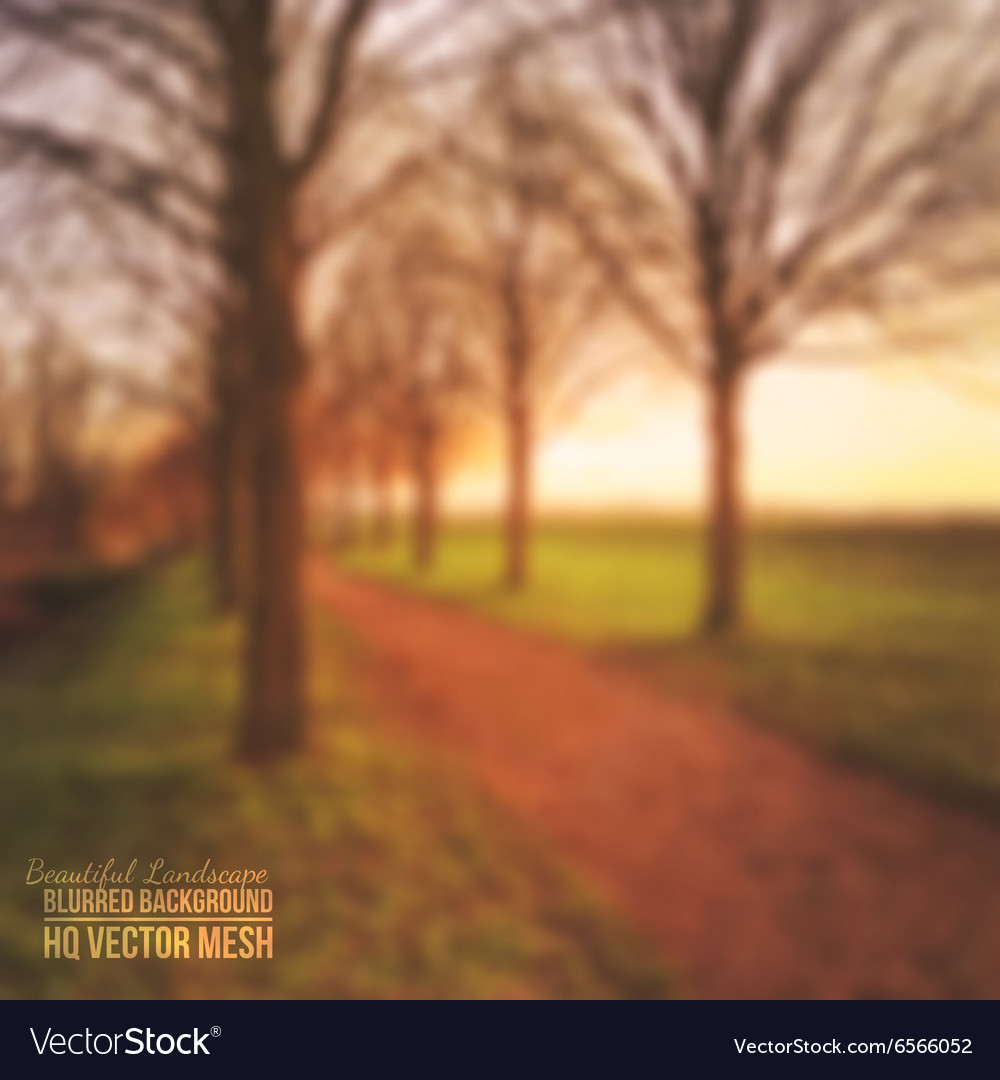 Light - HD Wallpaper 