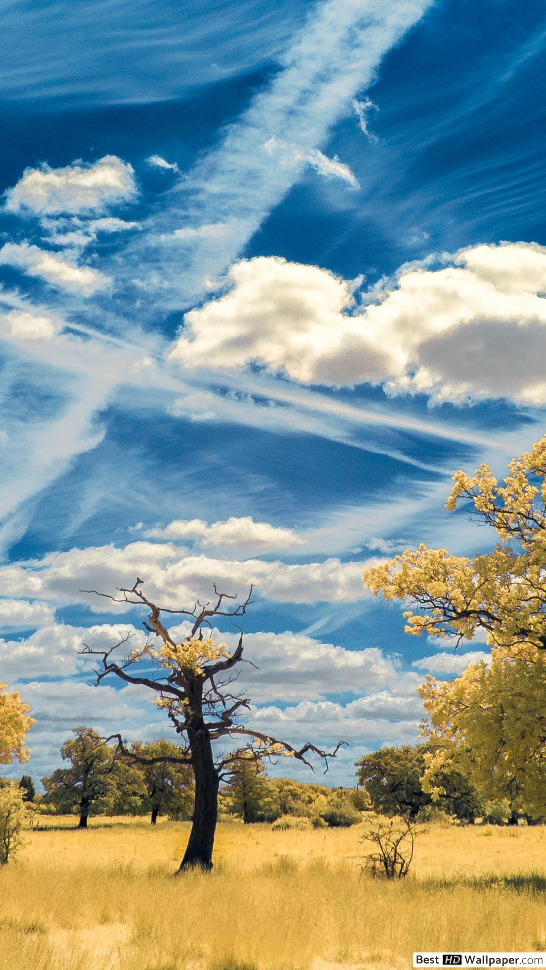 خلفيات كمبيوتر عالية الجودة - HD Wallpaper 