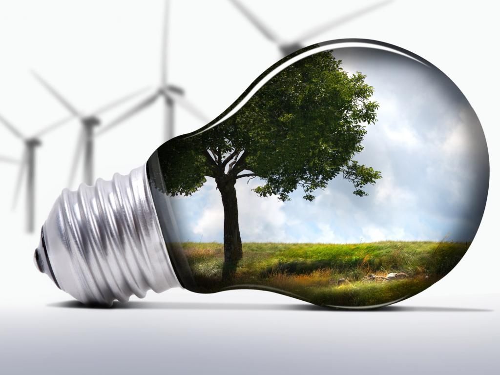 Nature Trees Digital Art - HD Wallpaper 