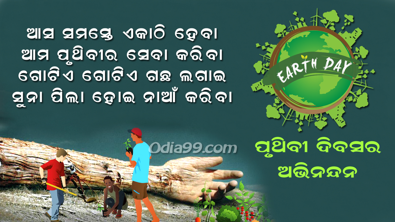 Natural Foods - HD Wallpaper 