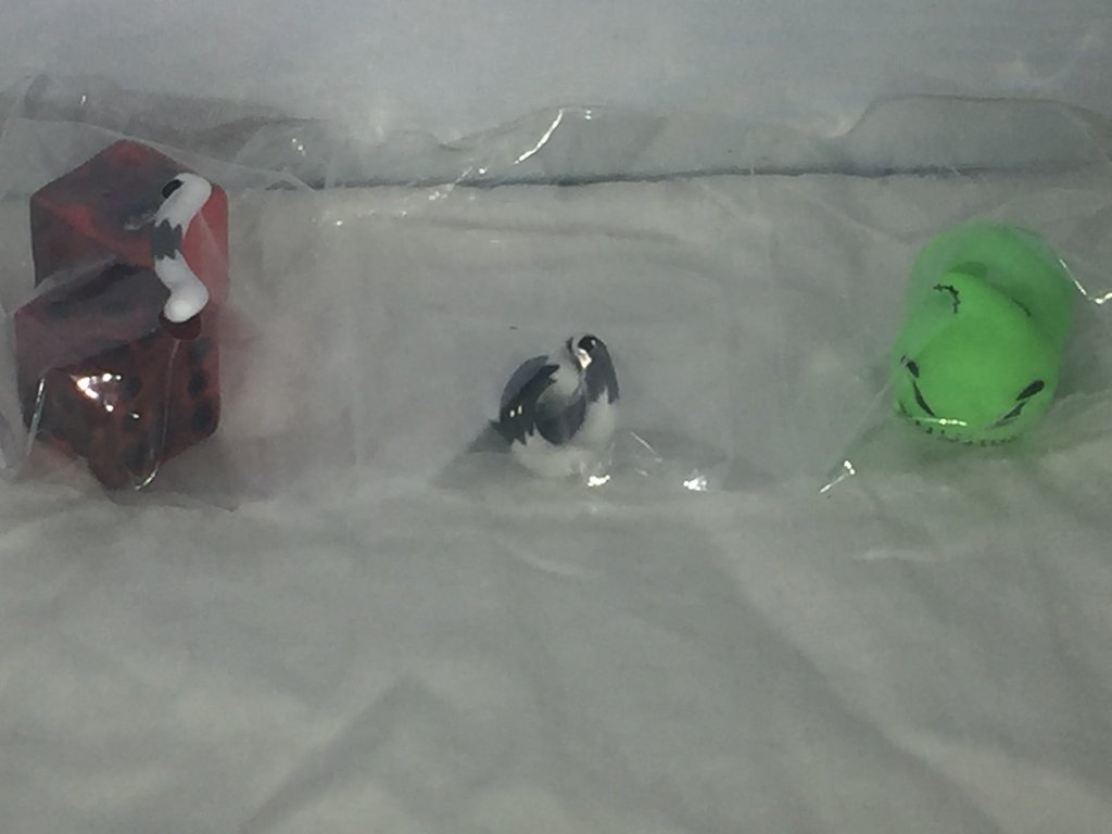 Animal - HD Wallpaper 