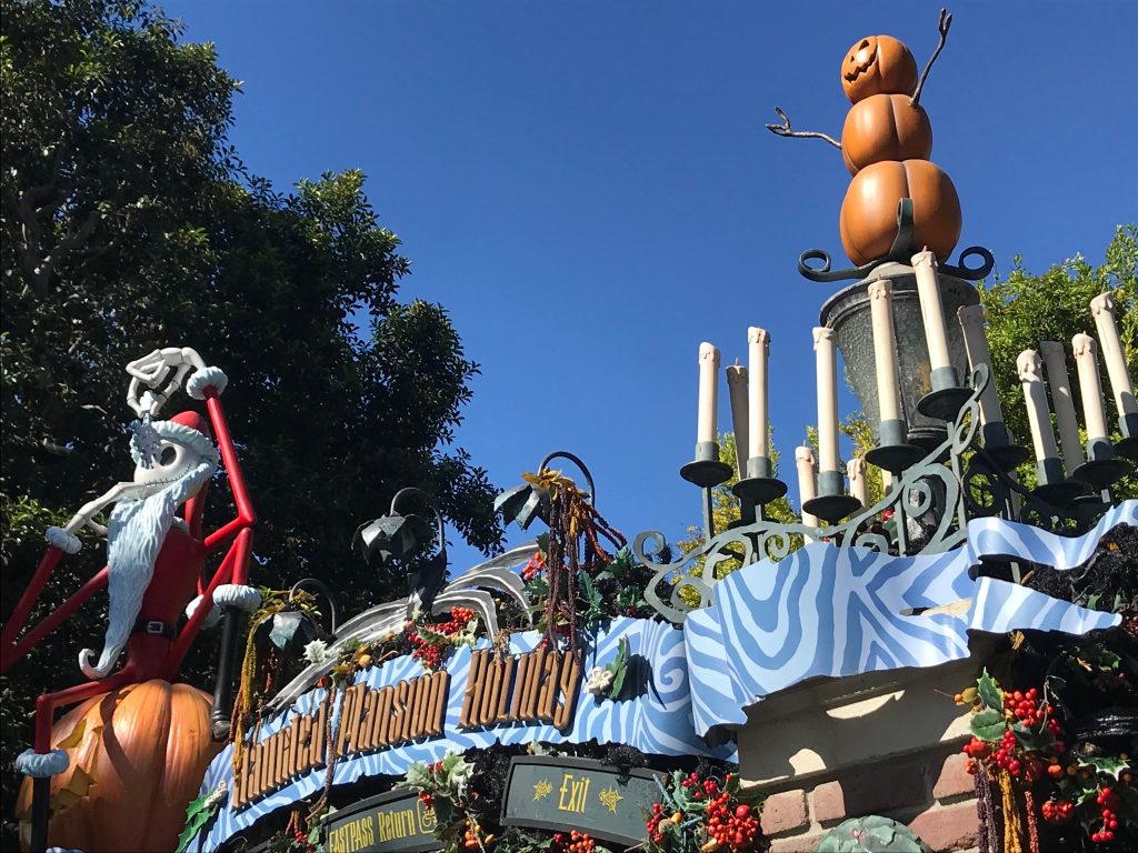 Roller Coaster - HD Wallpaper 