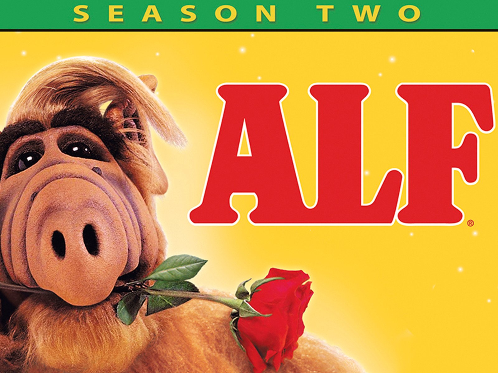 Alf Fondo De Pantalla - HD Wallpaper 