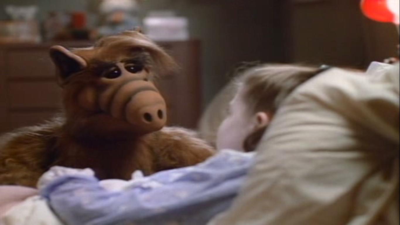 Primate - HD Wallpaper 