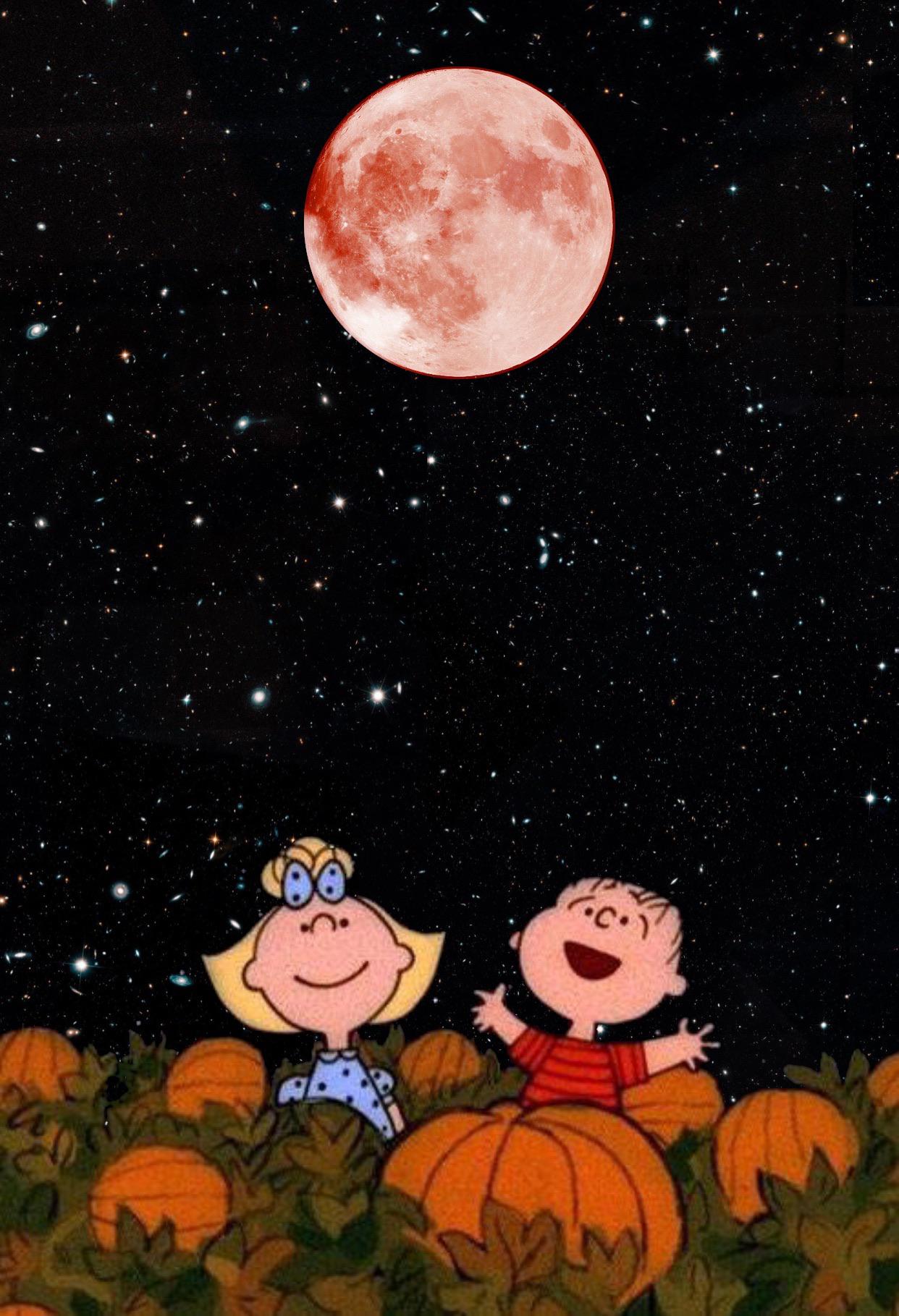 It's The Great Pumpkin Charlie - HD Wallpaper 