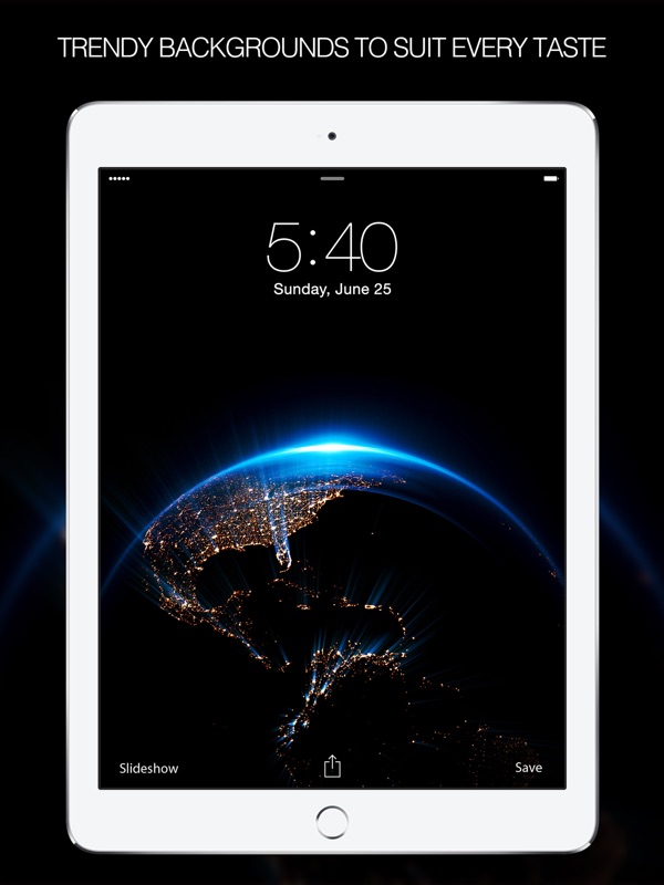 Red Panda - HD Wallpaper 