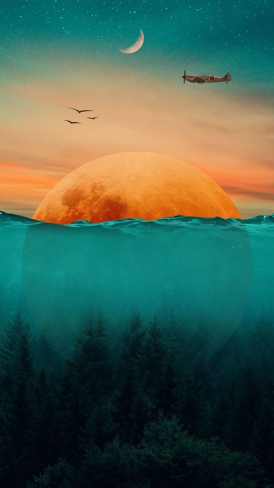 Dreamy View - 564x1002 Wallpaper Dreamy View - 564x1002 Wallpaper