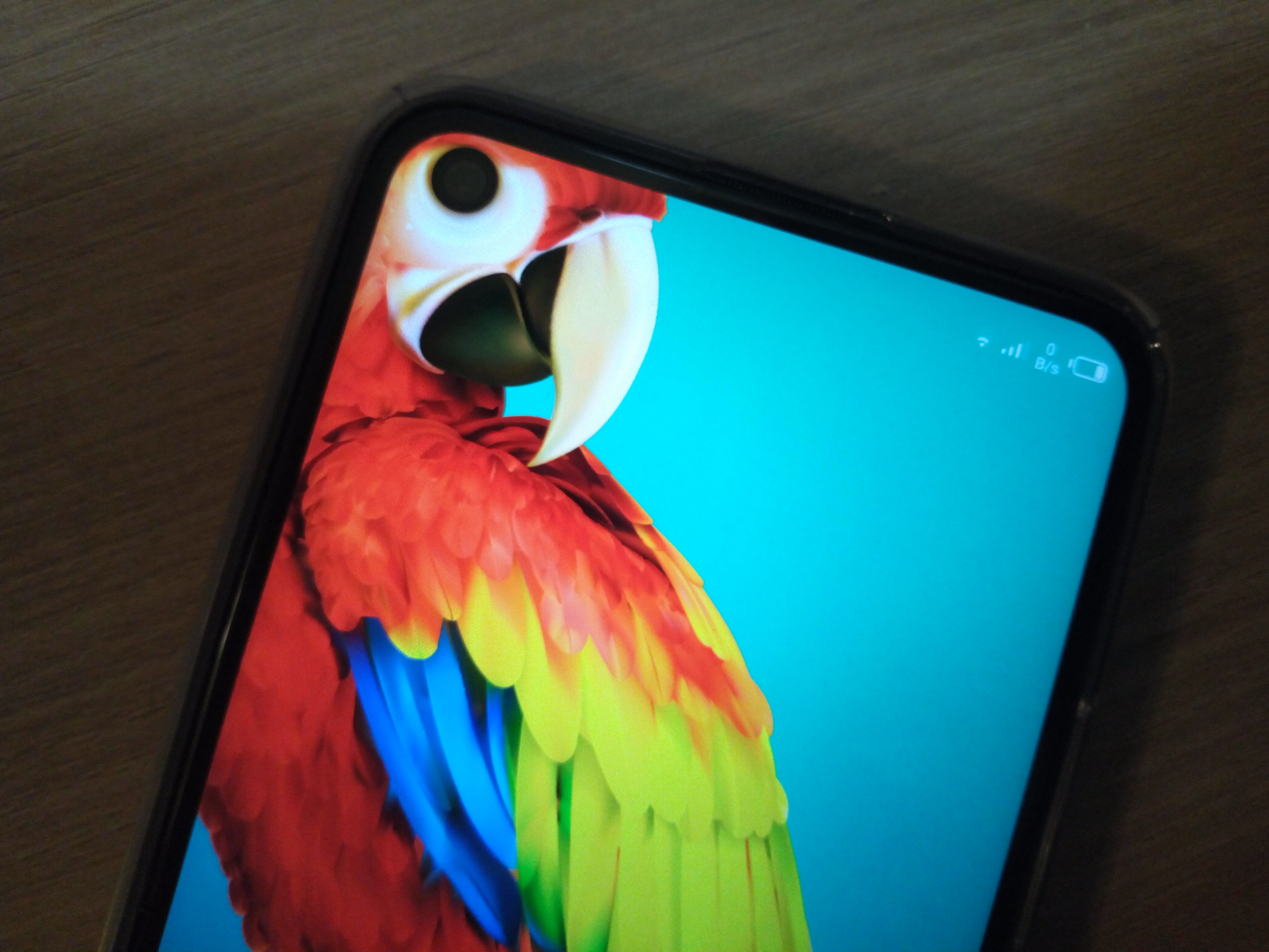 Parrot Wallpaper For Tecno Camon 12 Air - HD Wallpaper 