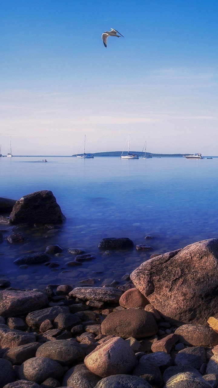 Gionee Marathon M4 Wallpaper №47 - Обои На Самсунг J5 - HD Wallpaper 