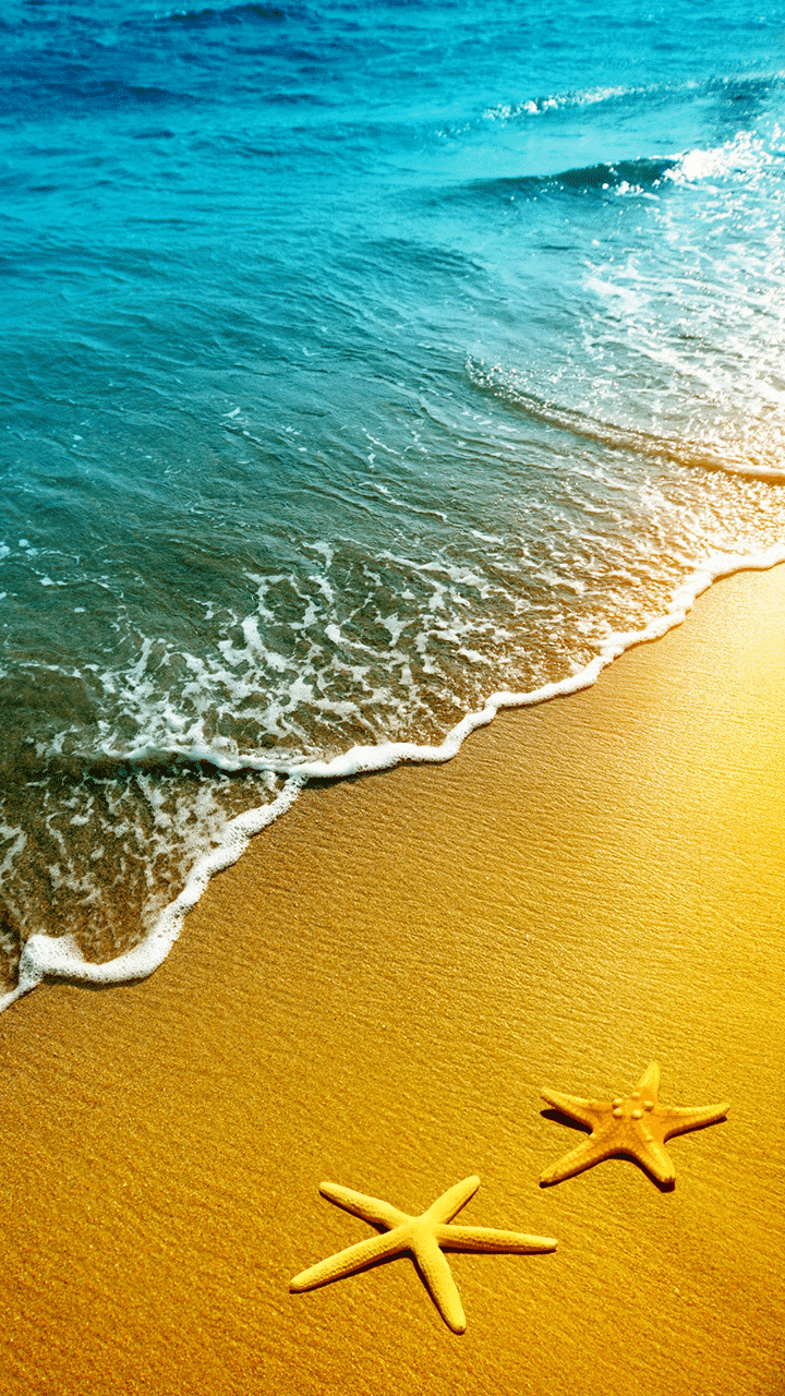 Starfish On A Beach - HD Wallpaper 