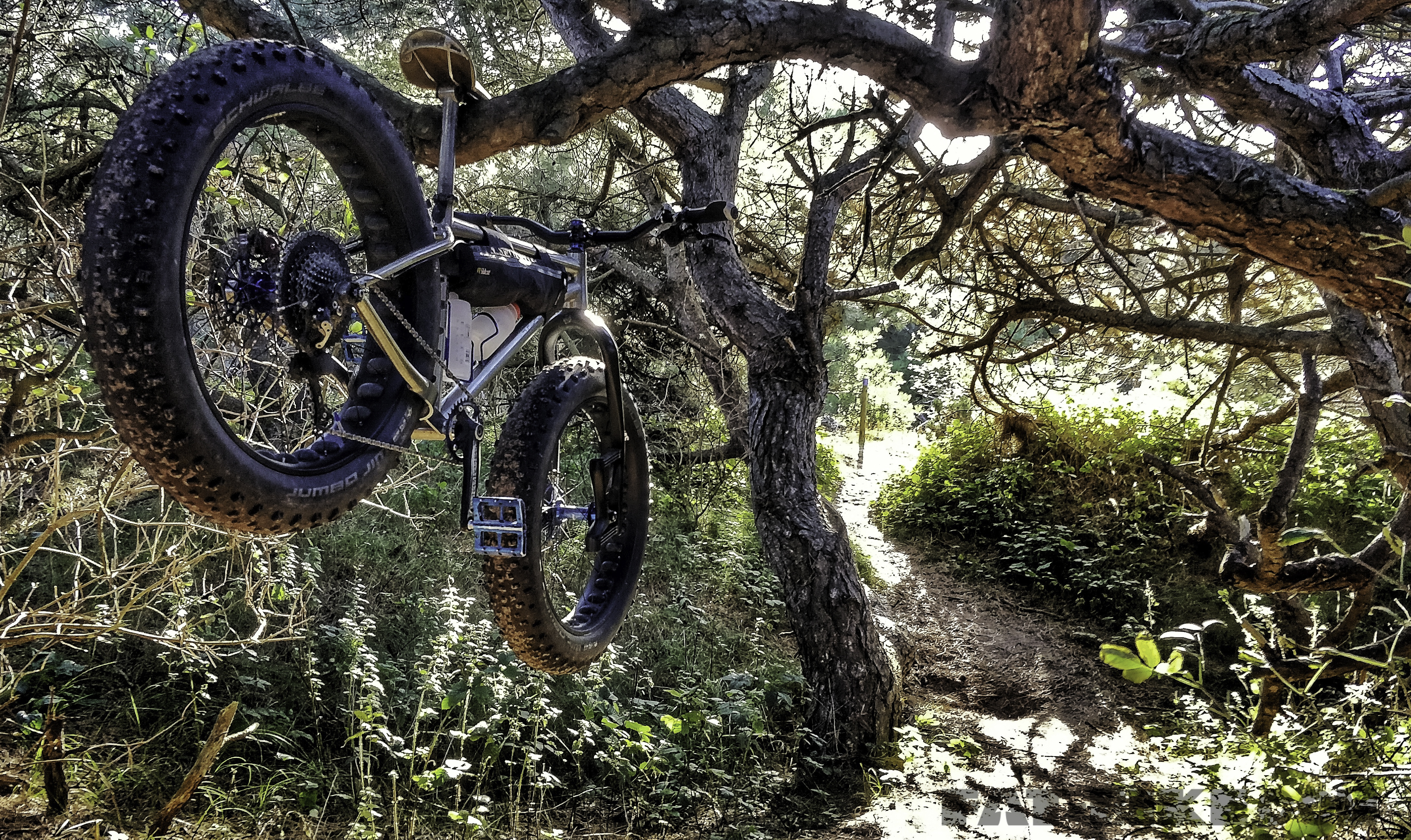Mountain Bike - HD Wallpaper 