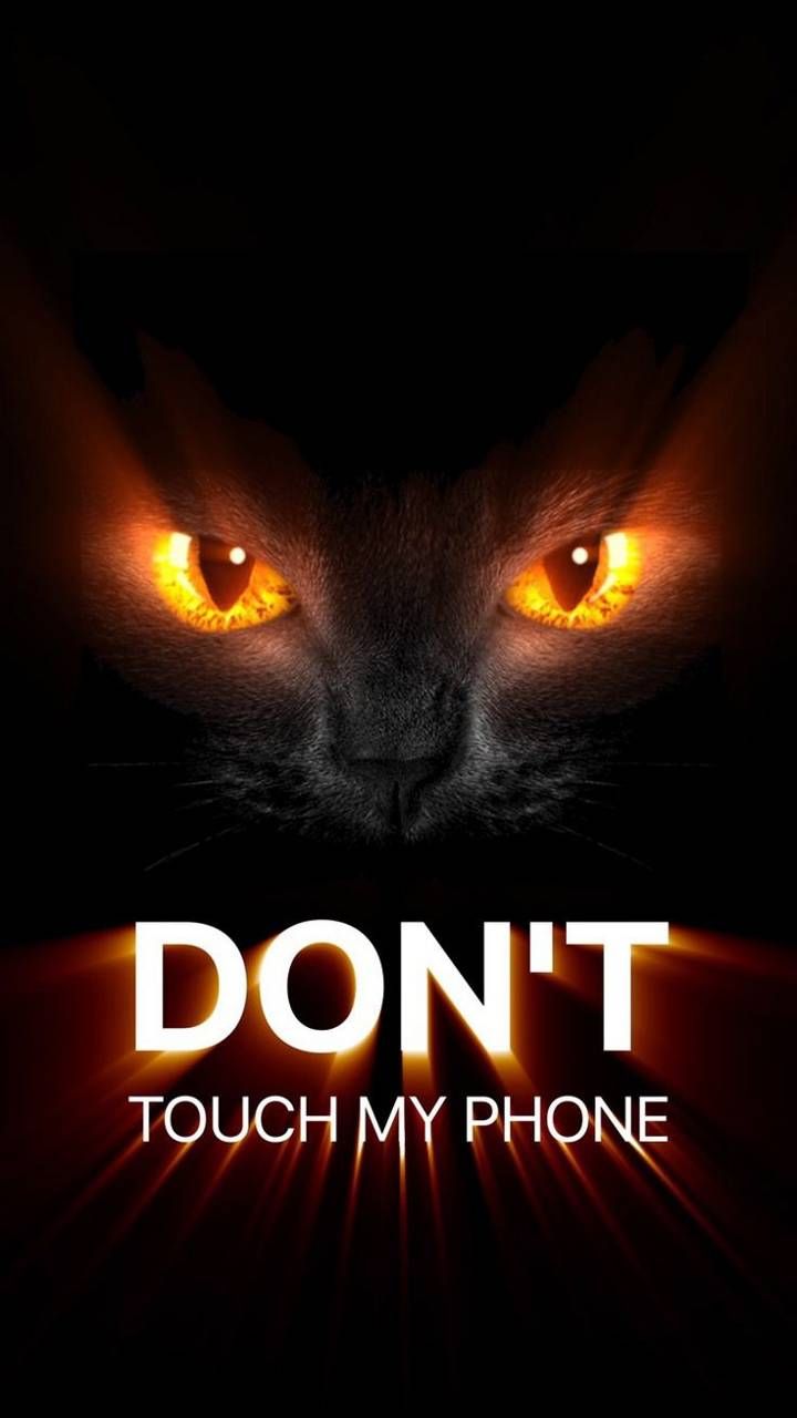 Don T Touchy Phone - HD Wallpaper 