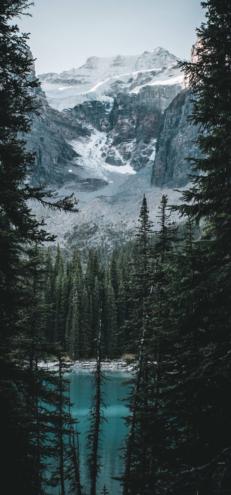 Wallpaper 252 - HD Wallpaper 