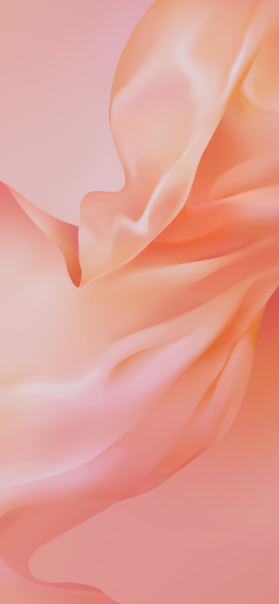 Macro Photography - HD Wallpaper 