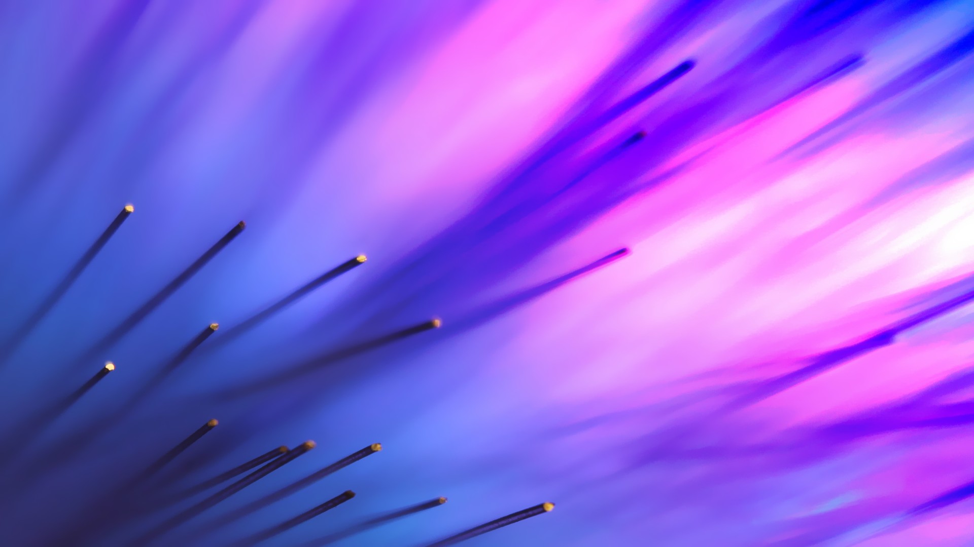 Fiber Optic Wallpaper - HD Wallpaper 