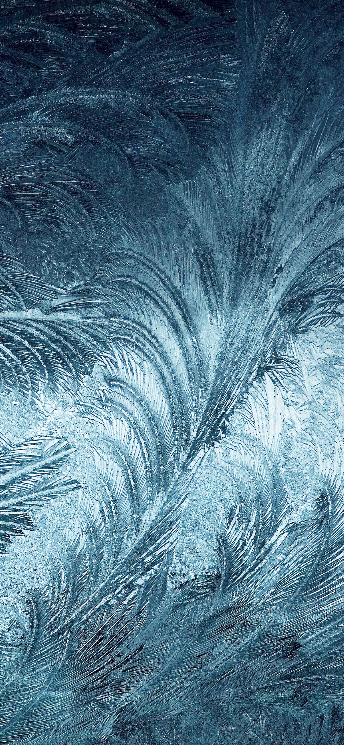 Com Apple Iphone Wallpaper Vi82 Winter Snow Window - Iphone Wallpapers Winter - HD Wallpaper 