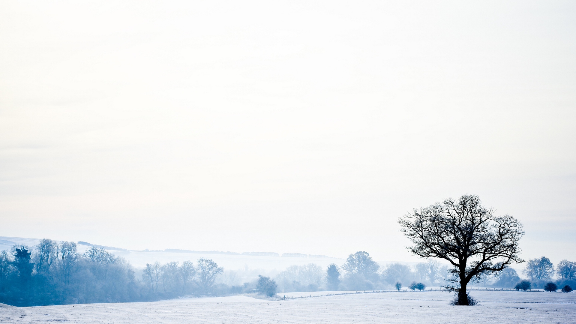 Wallpaper Landscape, Tree, Lonely, Snow, Winter, Empty, - Empty Background - HD Wallpaper 