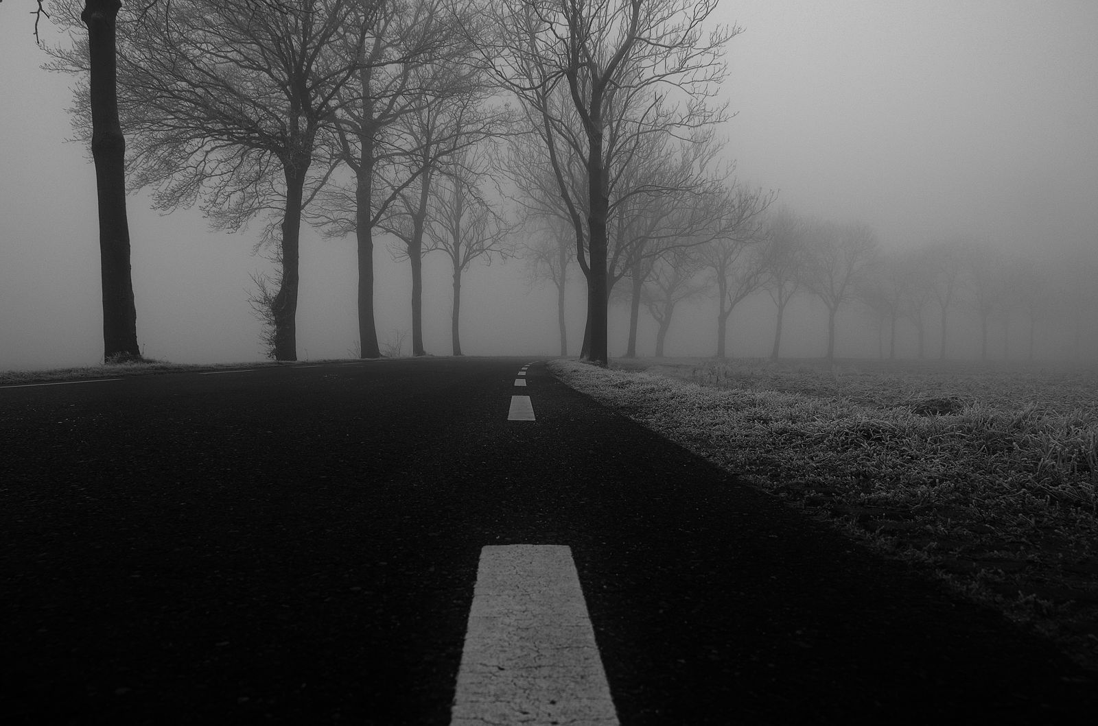 Trees Black And White Snow Road Winter Street Cold - Black And White Cold - HD Wallpaper 