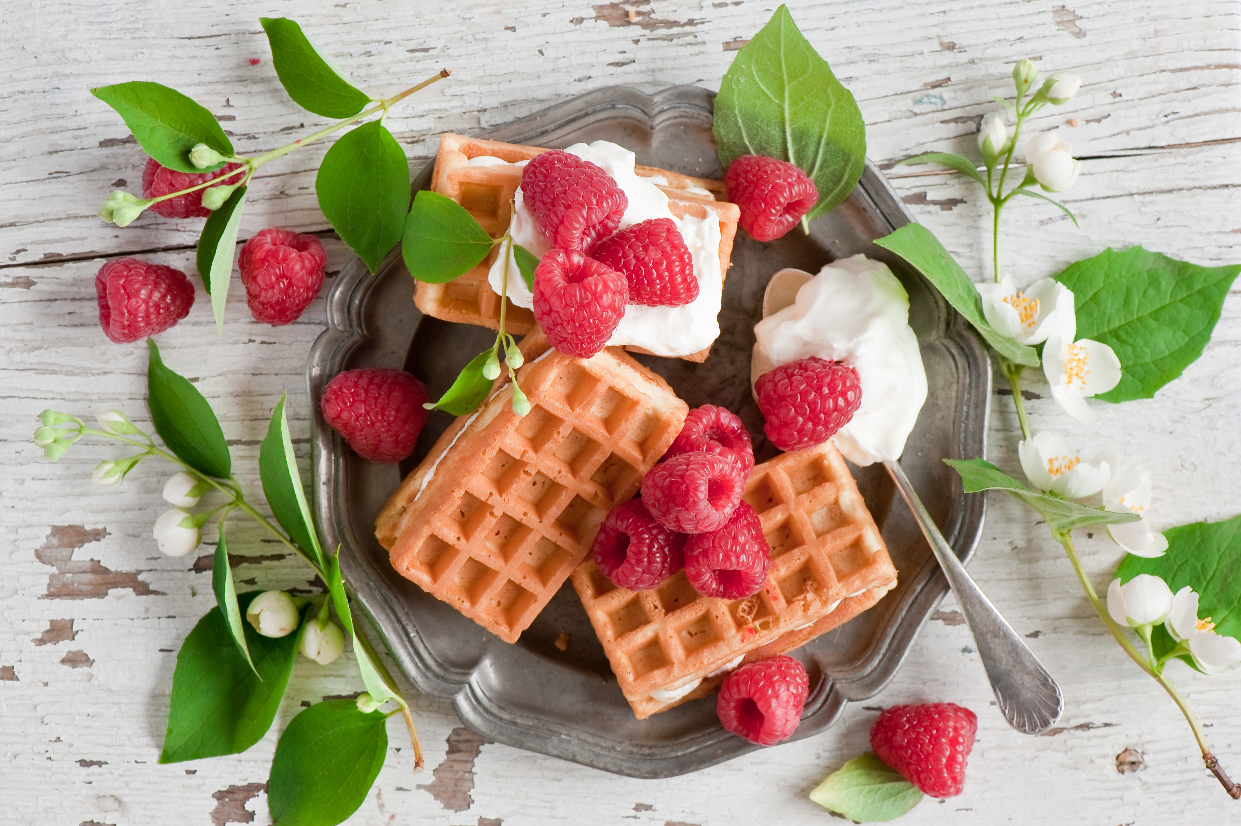 Waffle - 4256x2832 Wallpaper - teahub.io
