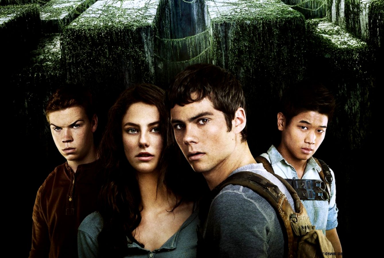 The Maze Runner Wallpapers Wallpaper Series - Maze Runner - HD Wallpaper 