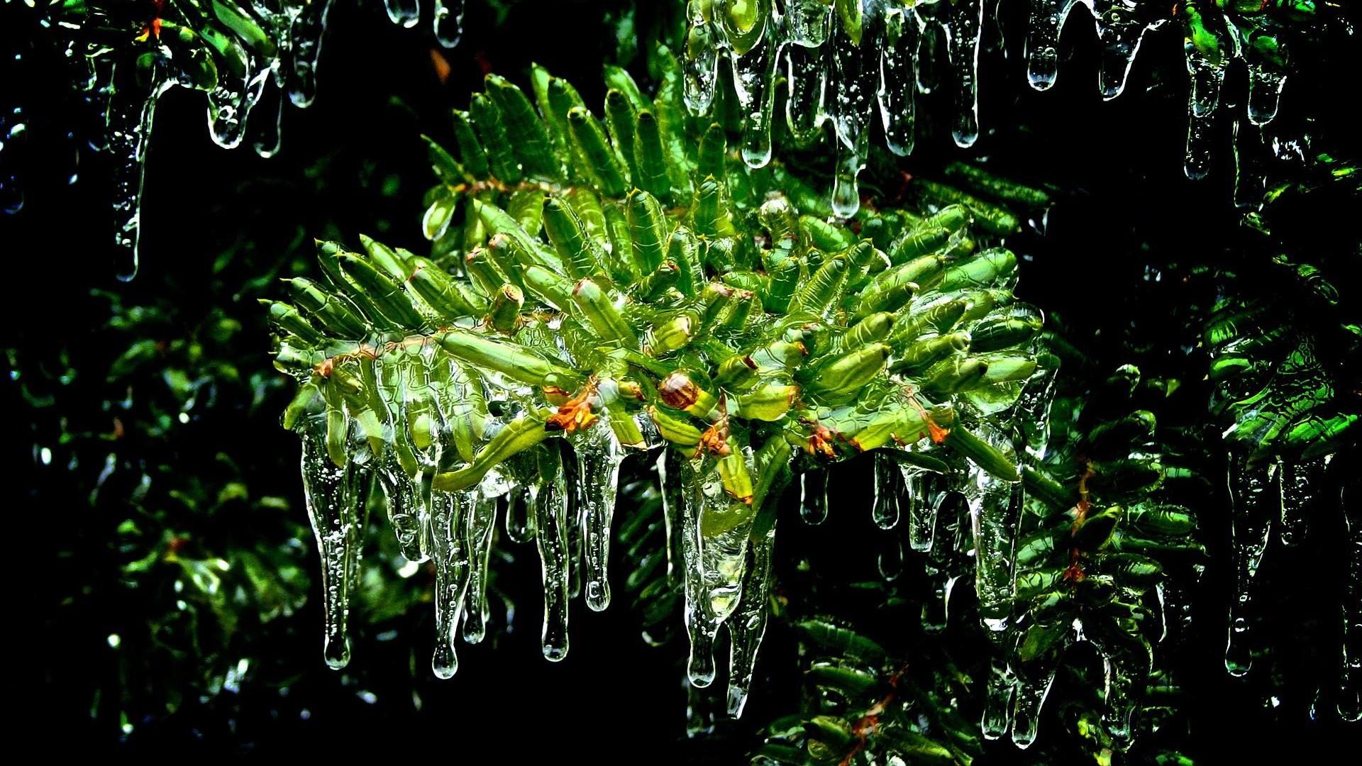 Download 
 Data Src Vertical Biology Wallpapers For - Biology Background - HD Wallpaper 