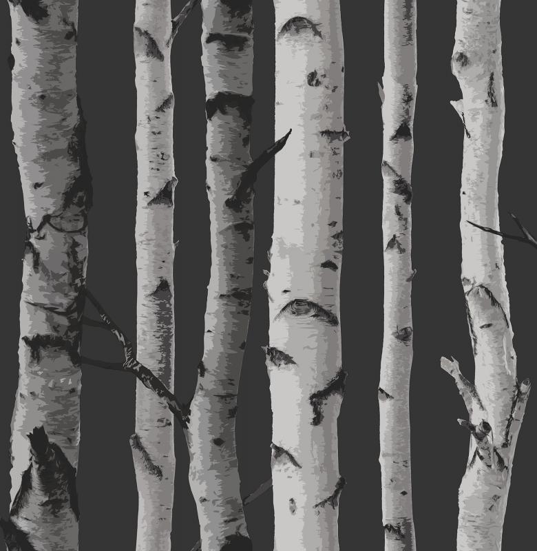 Distinctive Black Birch Tree 2900 31052 Brewster Wallpaper Grey With Trees 780x800 Teahub Io - Birch Tree Wallpaper Grey