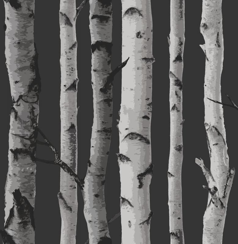 Distinctive Black Birch Tree 2900 31052 Brewster Wallpaper - Grey Wallpaper With Birch Trees - HD Wallpaper 