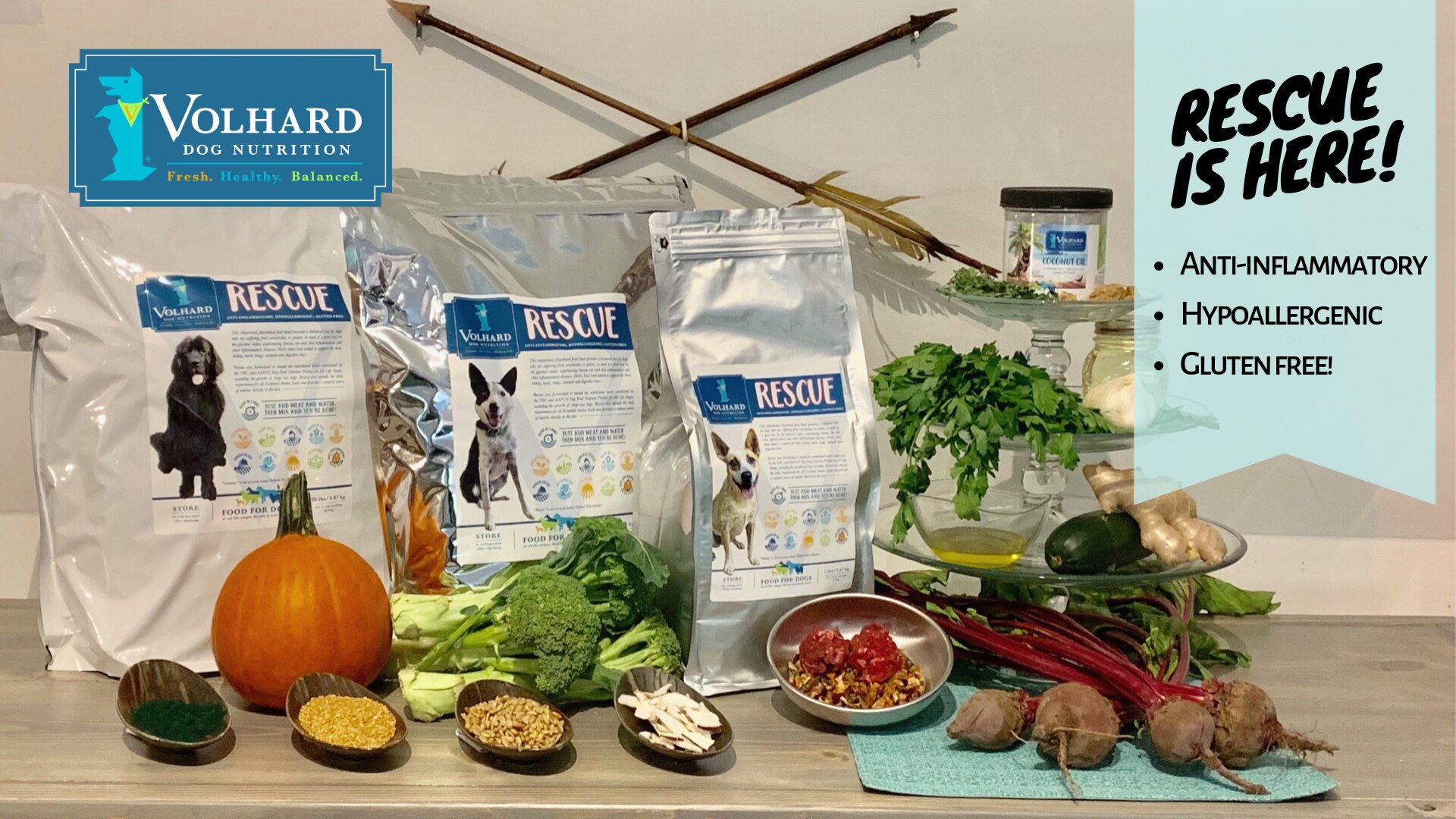 Gourd - HD Wallpaper 