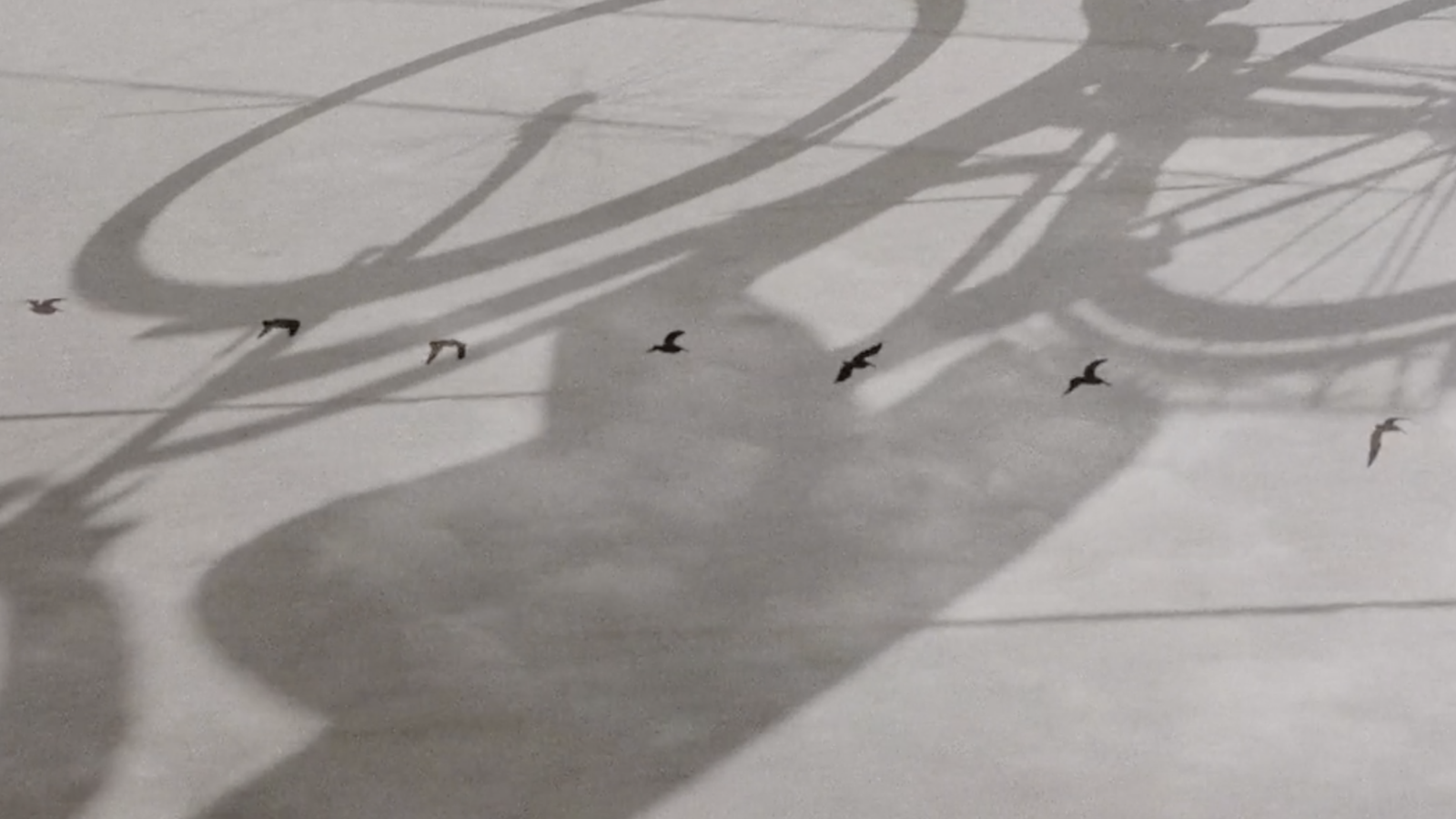 Shadow - HD Wallpaper 