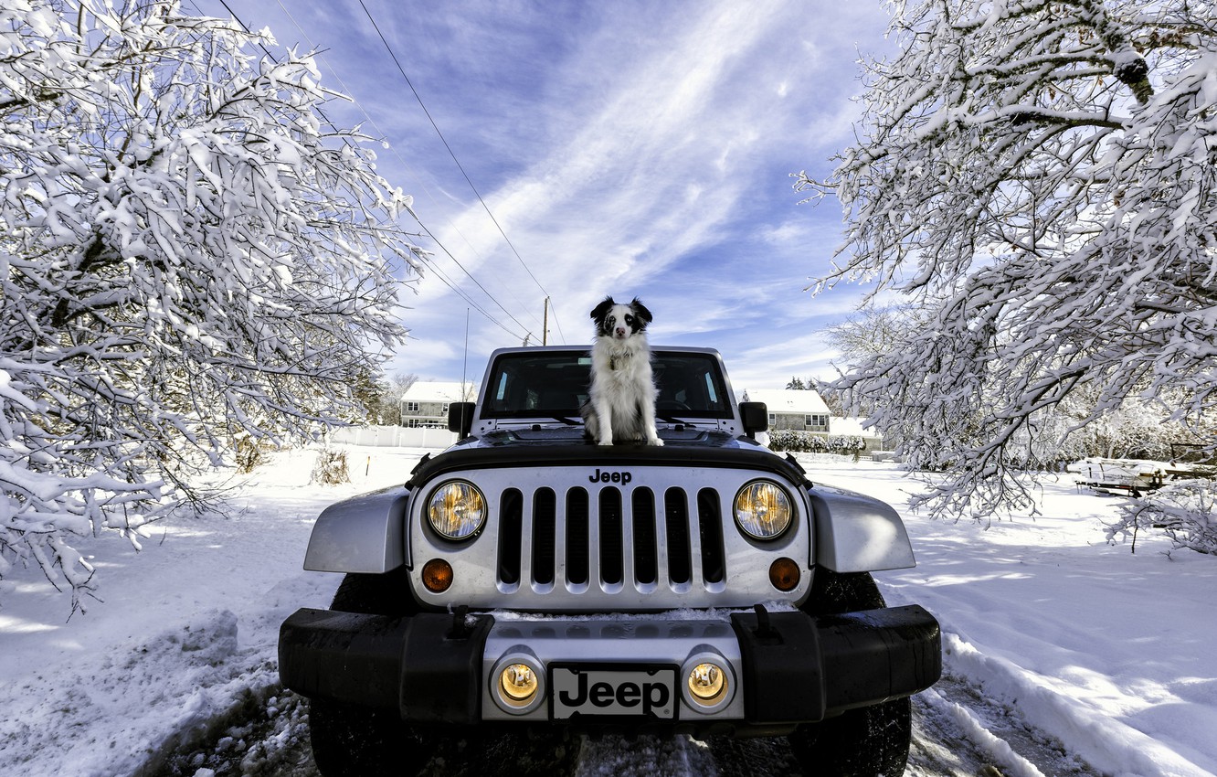 Photo Wallpaper Winter, Machine, Snow, Dog, Jeep, Jeep - Jeep Snow -  1332x850 Wallpaper 