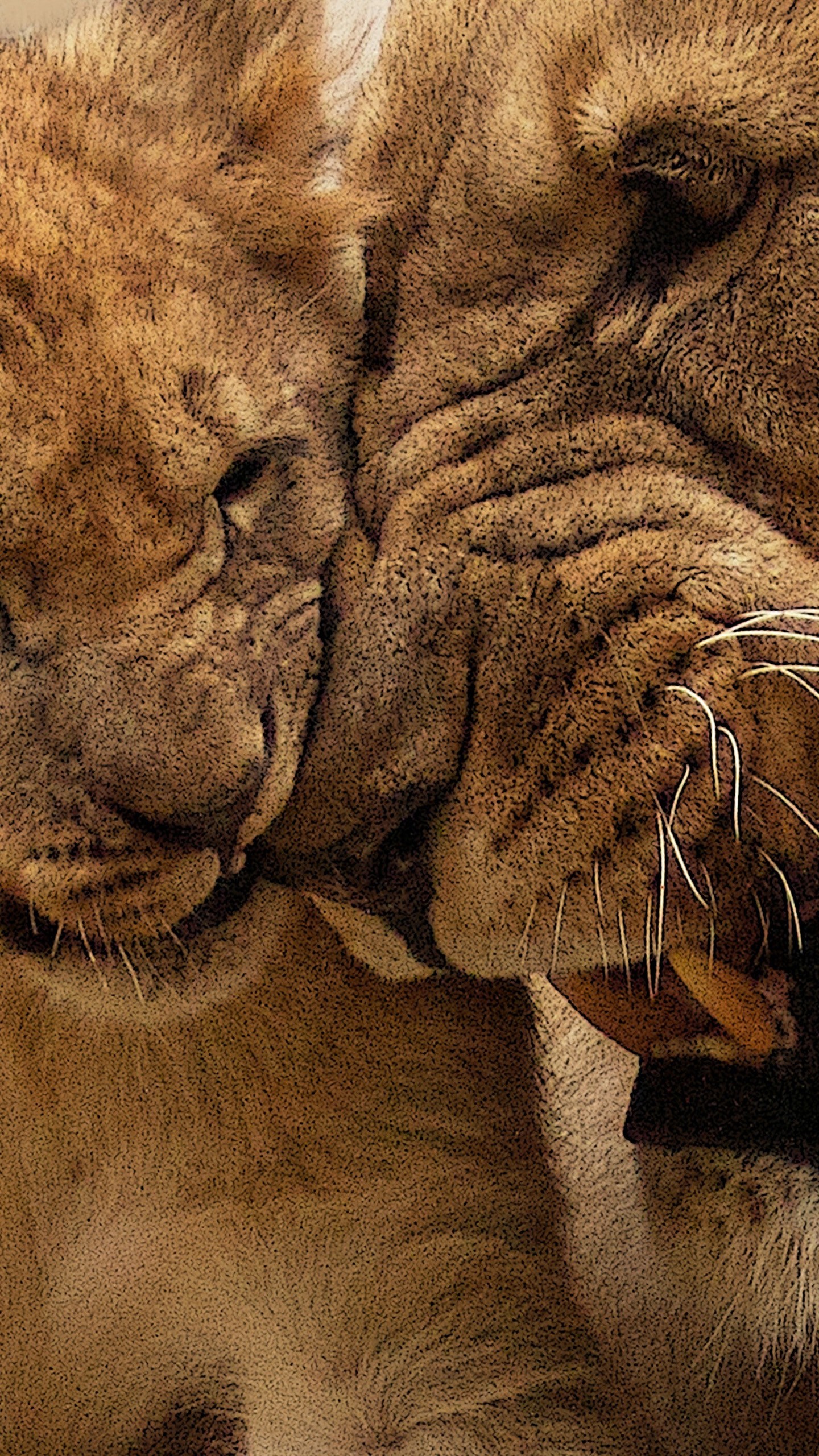 You Never Know Whos Watching Inspiration - HD Wallpaper 