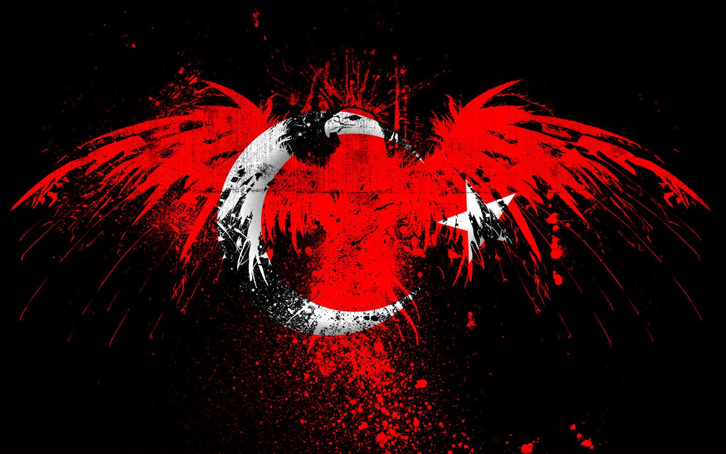 Turkey Flag Eagle - HD Wallpaper 