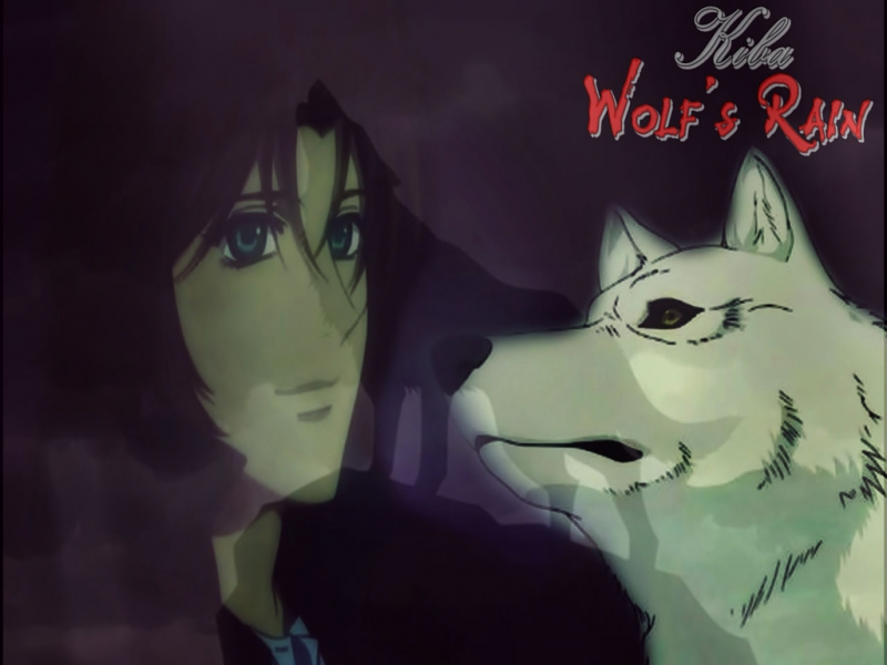 Wolf S Rain - Wolfdog - HD Wallpaper 