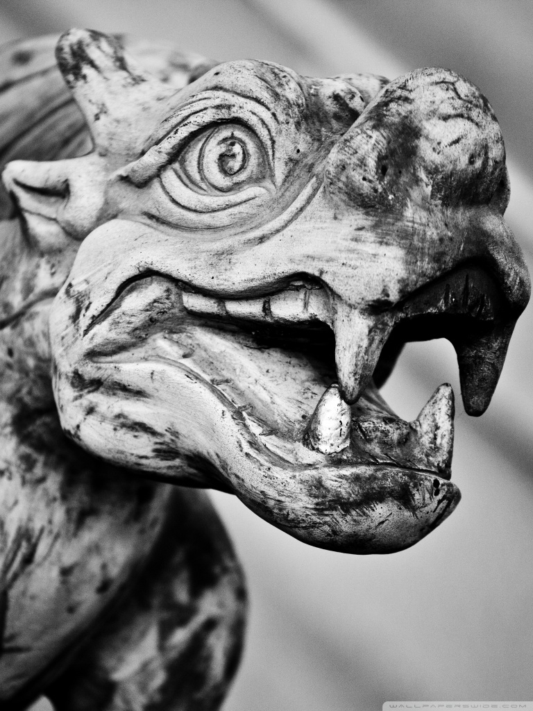 Tyrannosaurus - HD Wallpaper 