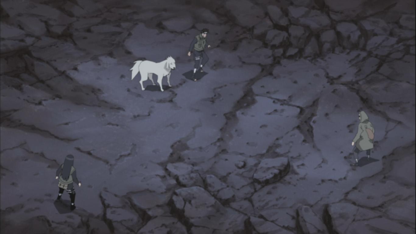 Mountain Goat - HD Wallpaper 