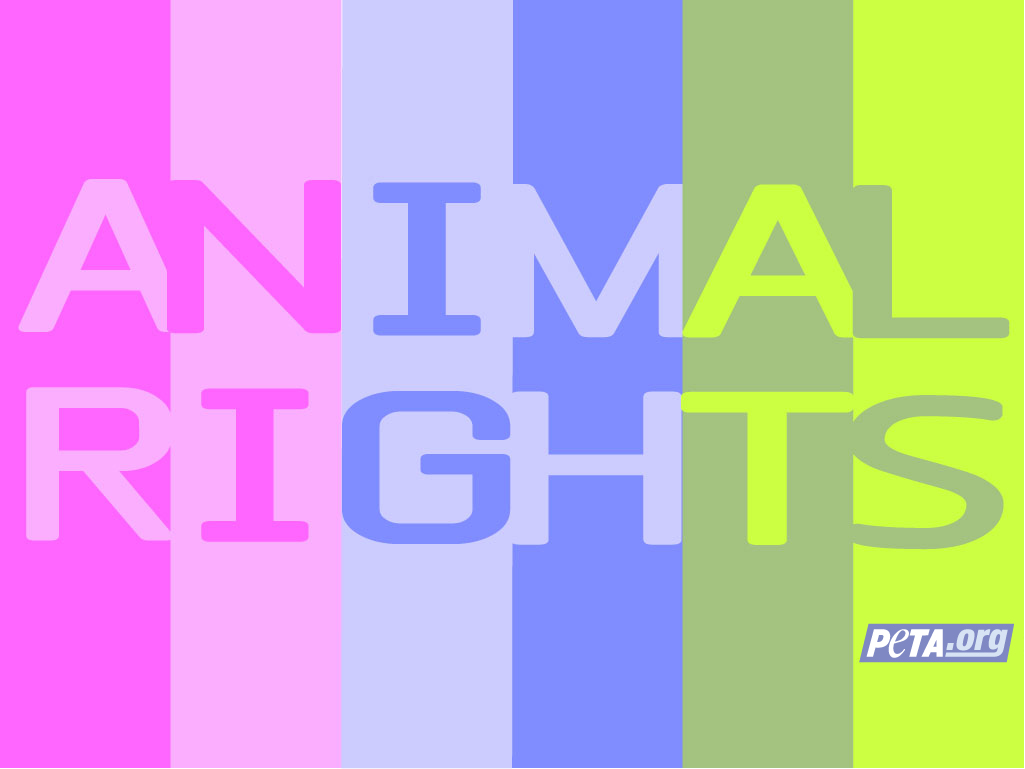 Animal Rights Background - HD Wallpaper 