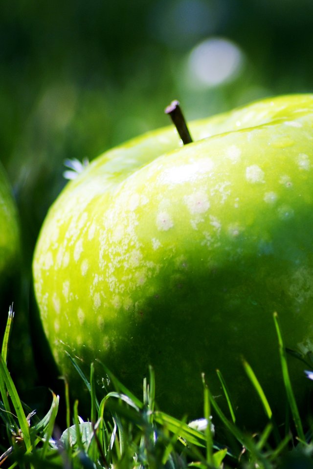 Apple, Nature, Green, Garden, Grany Fruit Diet, Daisy - Green Apple Hd Nature - HD Wallpaper 