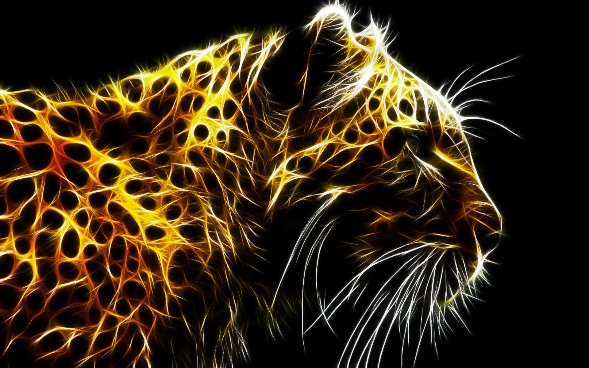 Animal Wallpaper Download For Mobile - 1920x1200 Wallpaper Animal Wallpaper Download For Mobile - 1920x1200 Wallpaper