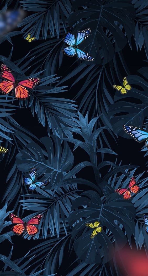 Butterfly Wallpaper Aesthetic - HD Wallpaper 