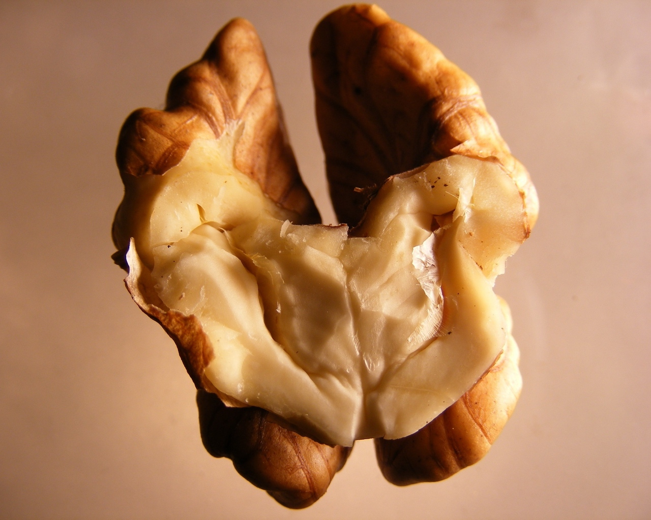 Wallpaper Walnut, Food, Healthy - Food - HD Wallpaper 