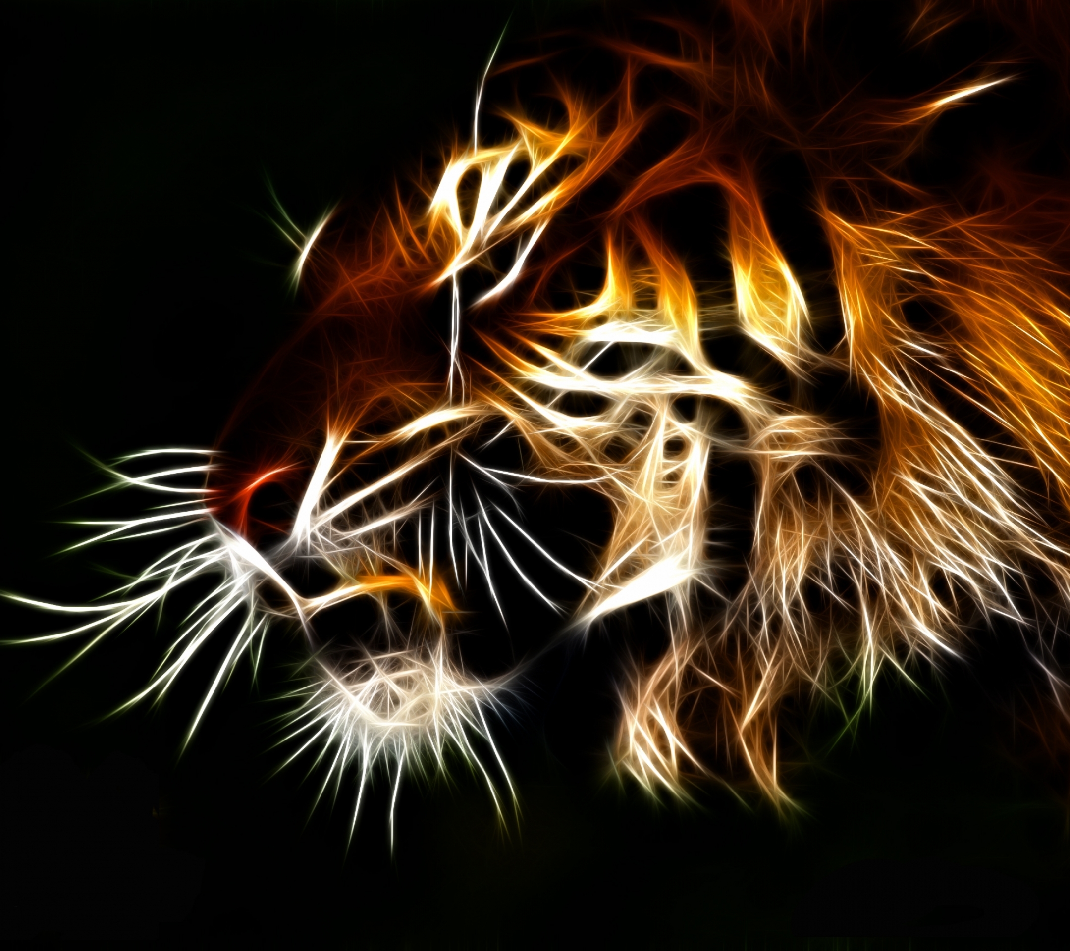 Angry Wild Animals - HD Wallpaper 