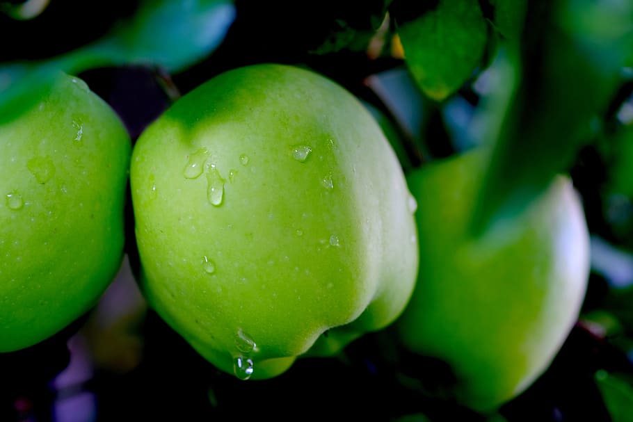 Apple, Rain, Fruit, Drip, Wet, Raindrop, Nature, Eat, - HD Wallpaper 