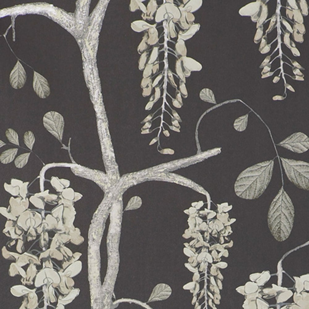 Wallpaper - HD Wallpaper 