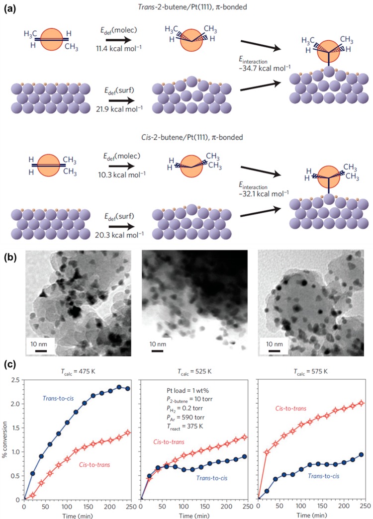 Invertebrate - HD Wallpaper 
