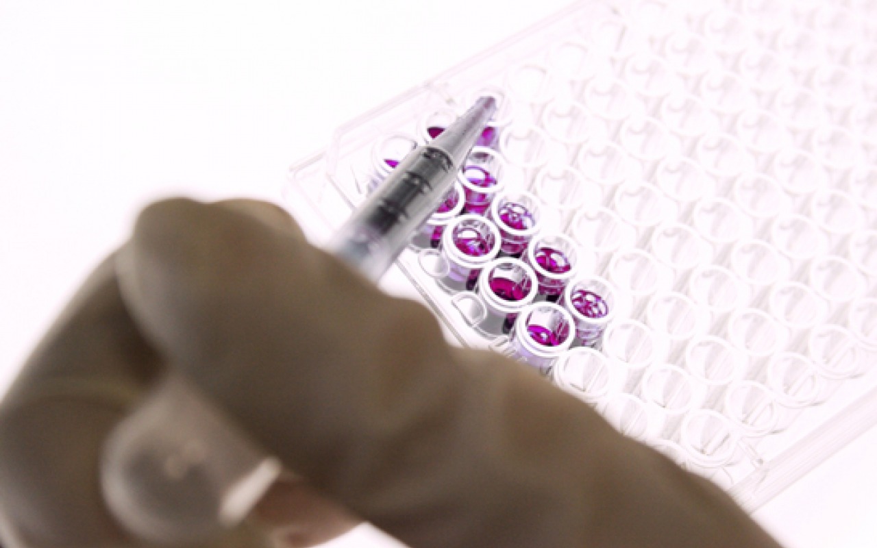 Breast Cancer Biological Treatment - HD Wallpaper 