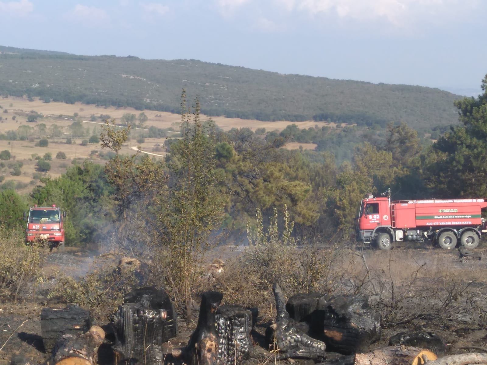 Rural Area - HD Wallpaper 