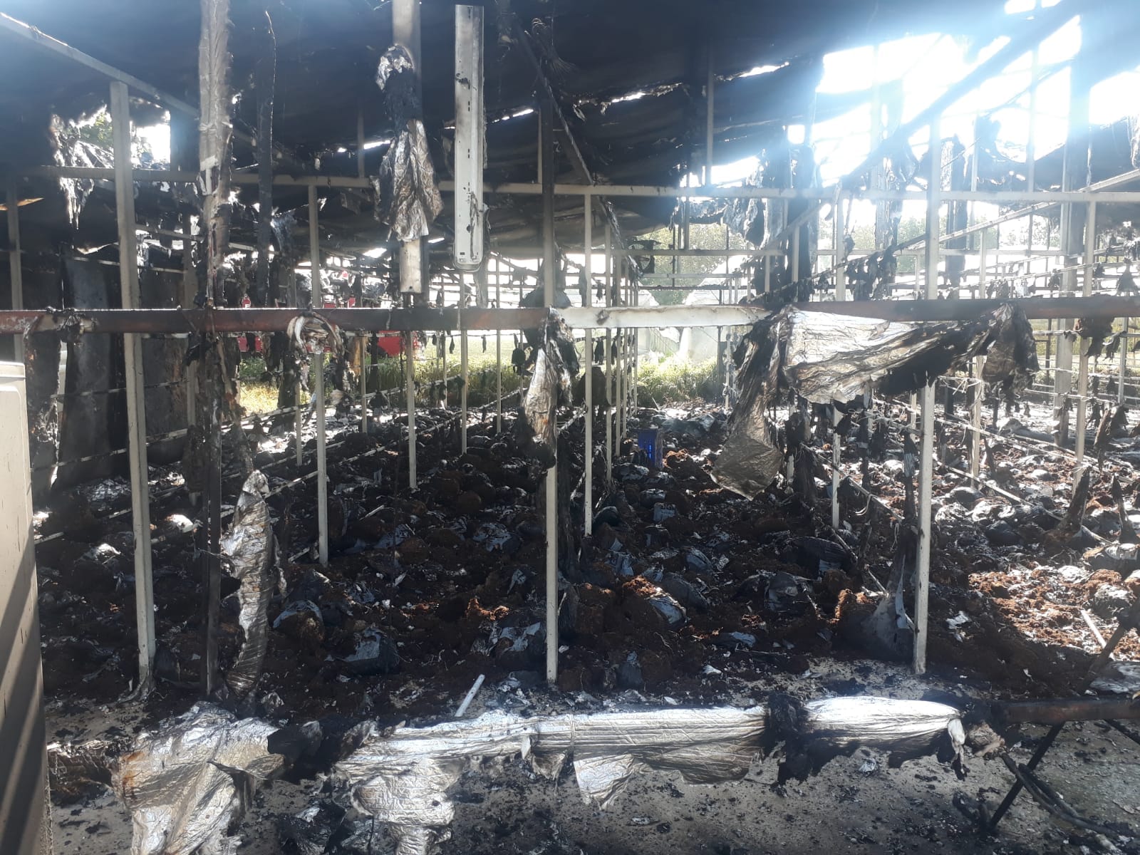 Fence - 1600x1200 Wallpaper - teahub.io