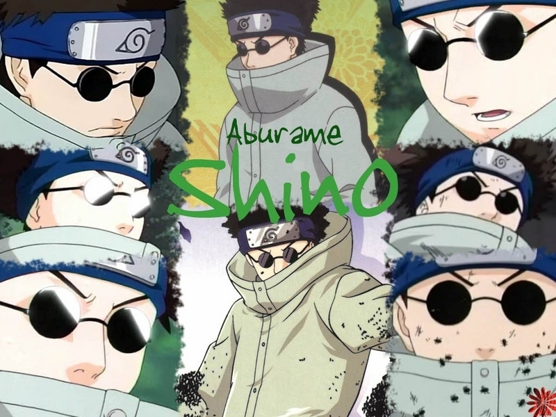 Shino Wallpaper - Shino Aburame - HD Wallpaper 